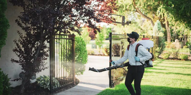 regular pest control in home and businesses in utah