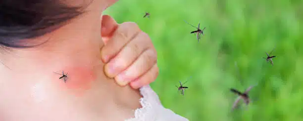 mosquito prevention in utah