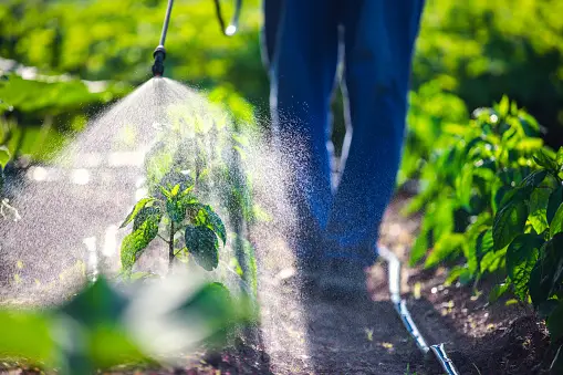 agricultural pest control in utah