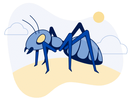 Ant Pest Control in Lehi, Utah