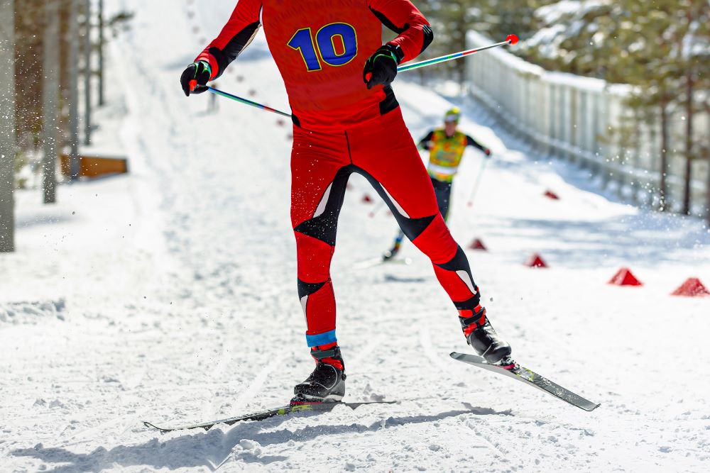 provo winter pest control