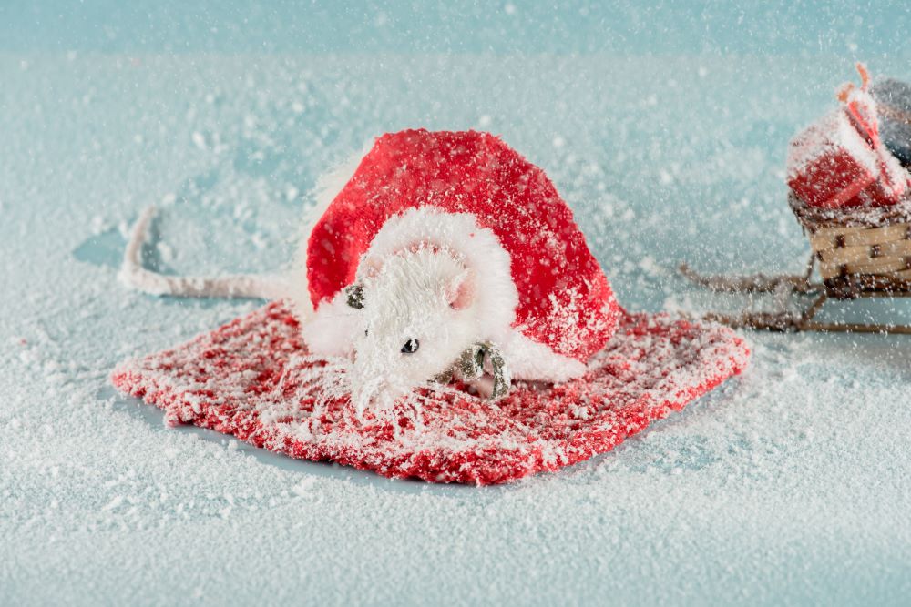 winter mice control