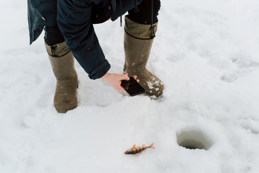 winter pest control