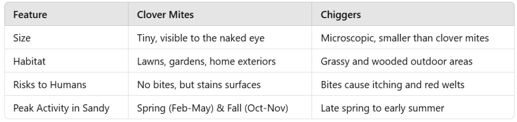 clover mites or chiggers